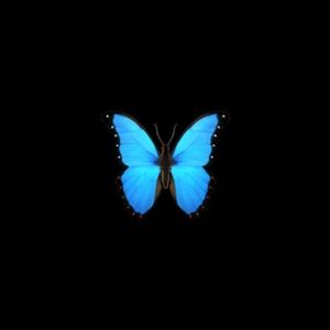 Meet your Posher, Todd